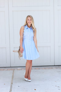 Labor Day Picnic Dress