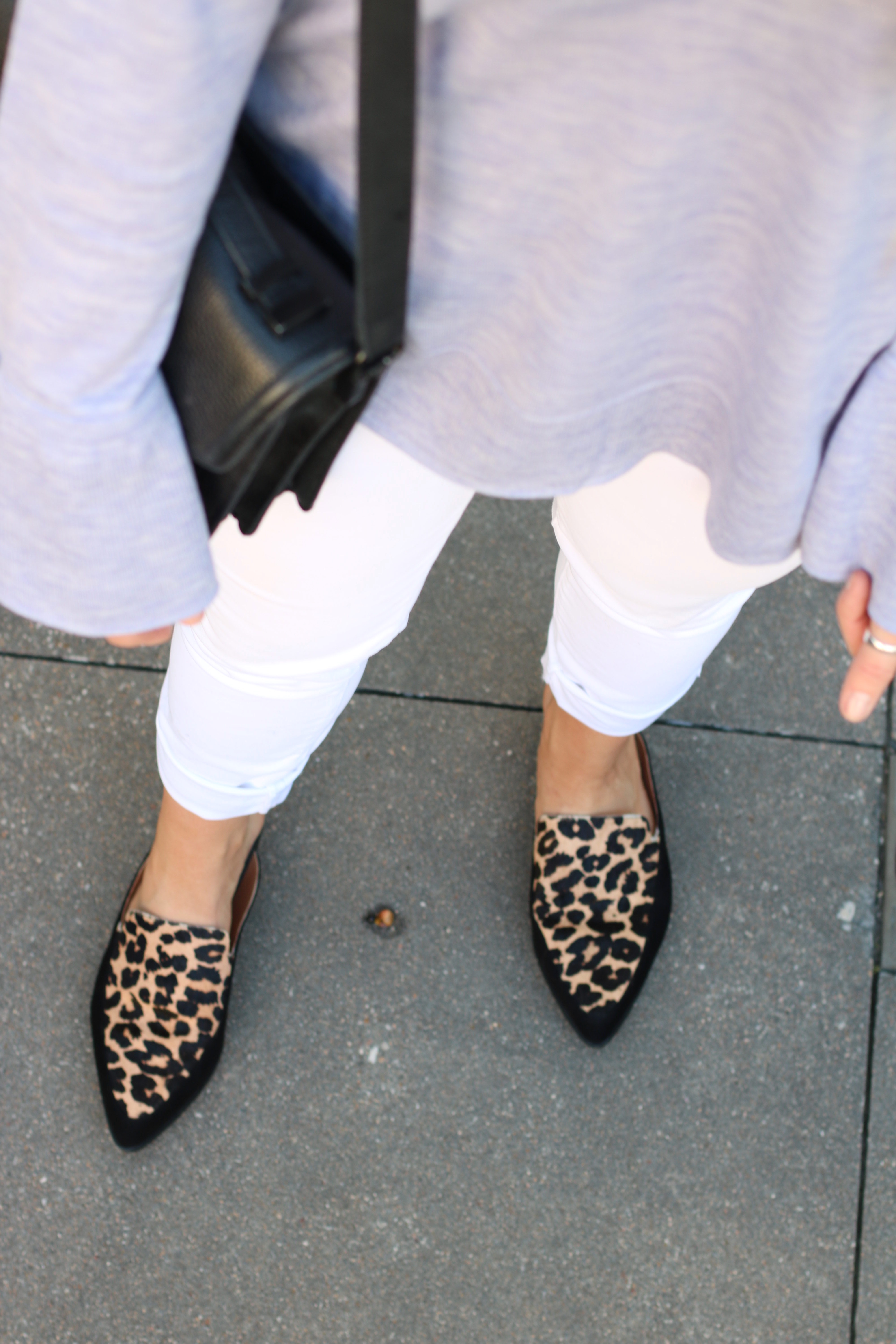 leopard mules