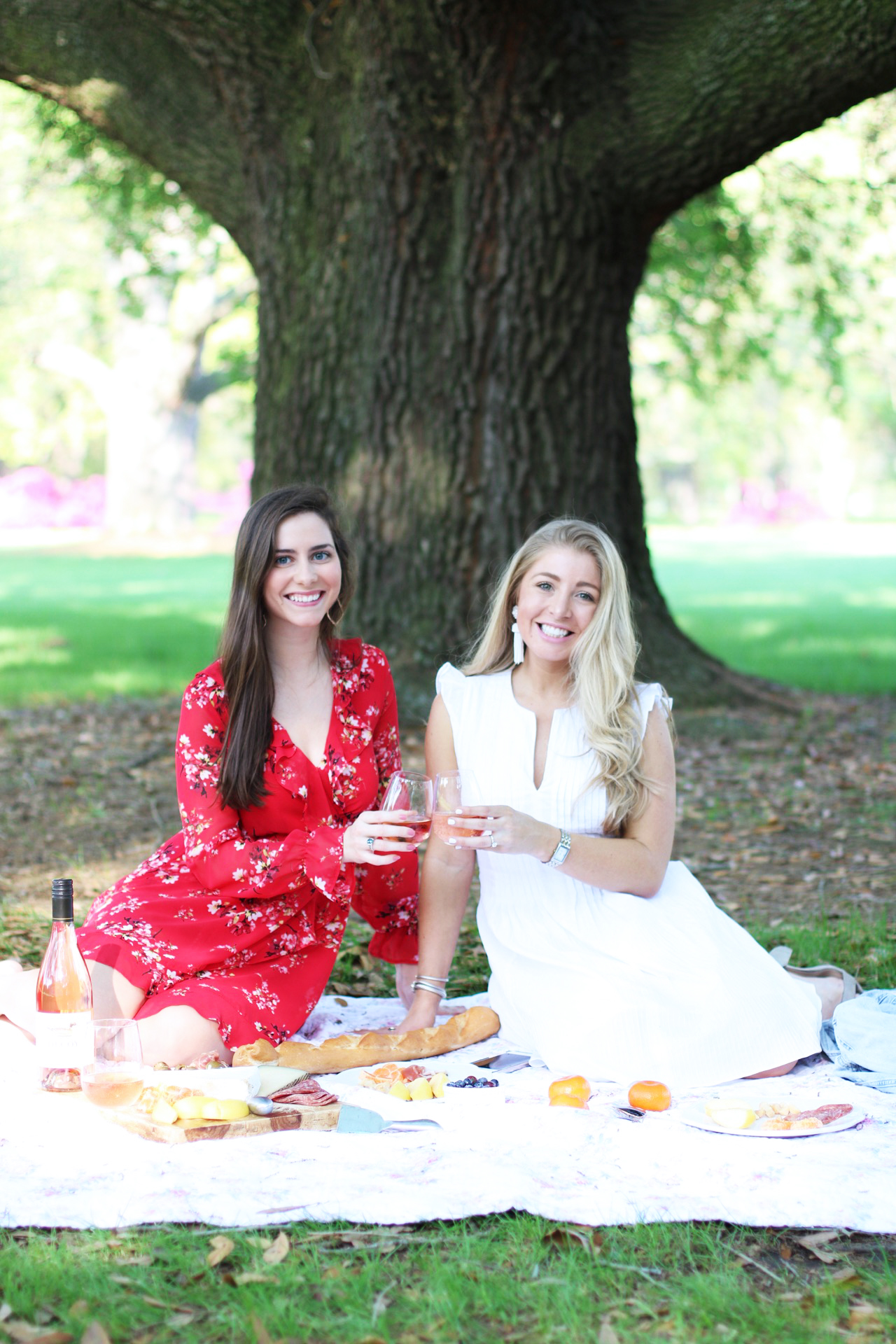 Houston-picnic