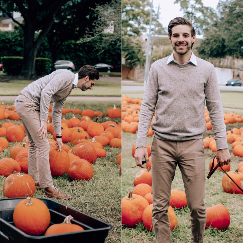 Houston Pumpkin Patch