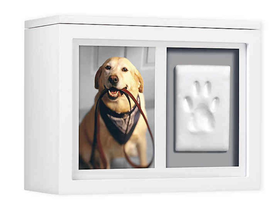 How To Memorialize Your Pet